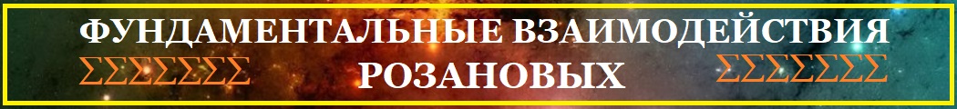 Фундаментальные взаимодействия Розановых.